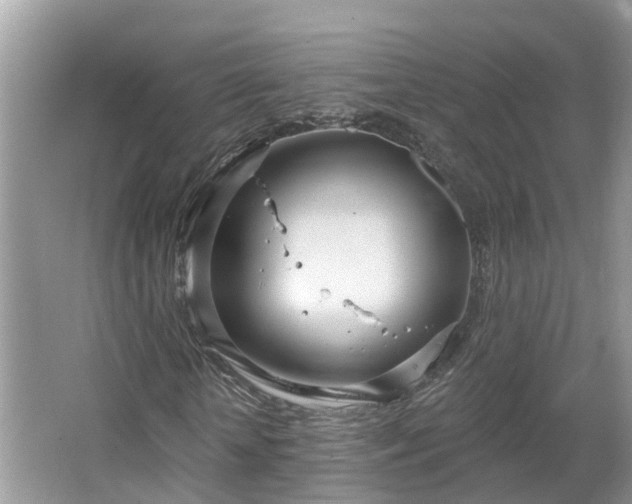 X0000067470818200604101156