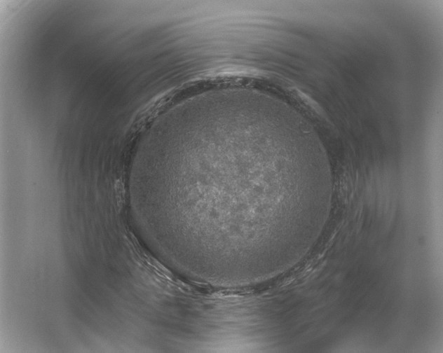 X0000067470821200604101156