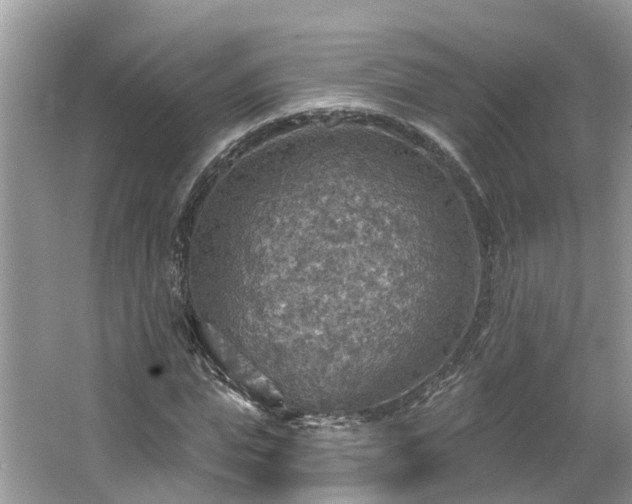 X0000067470823200604101156