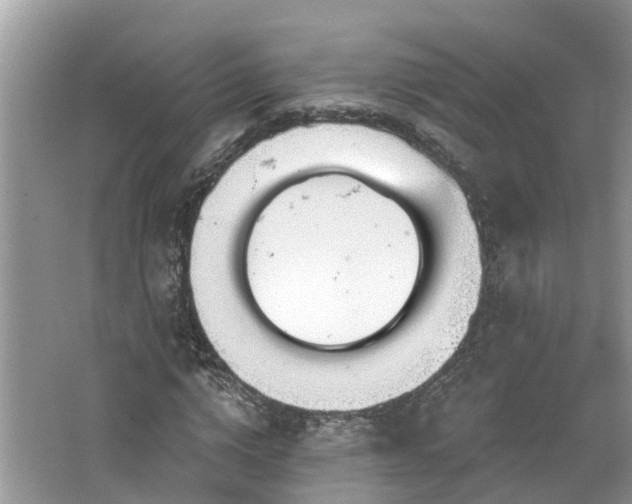 X0000067470824200604101156