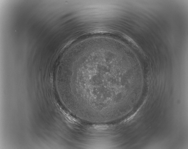 X0000067470825200604101156