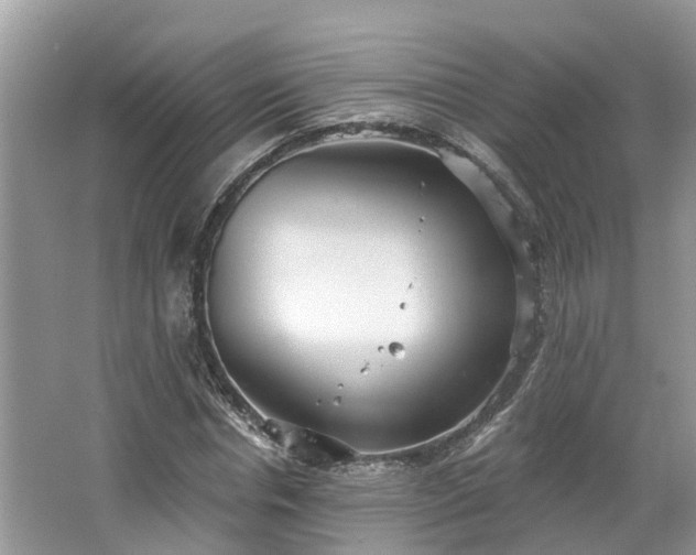 X0000067470826200604101156