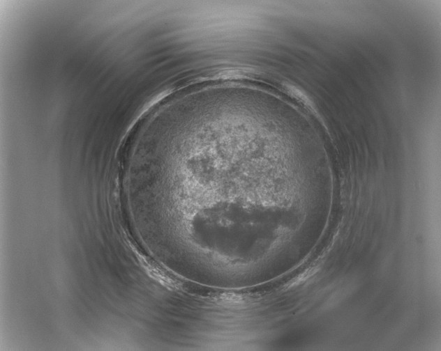 X0000067470827200604101156