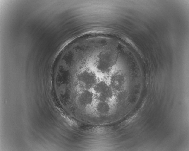 X0000067470829200604101156