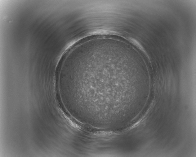 X0000067470831200604101156