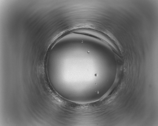 X0000067470834200604101157