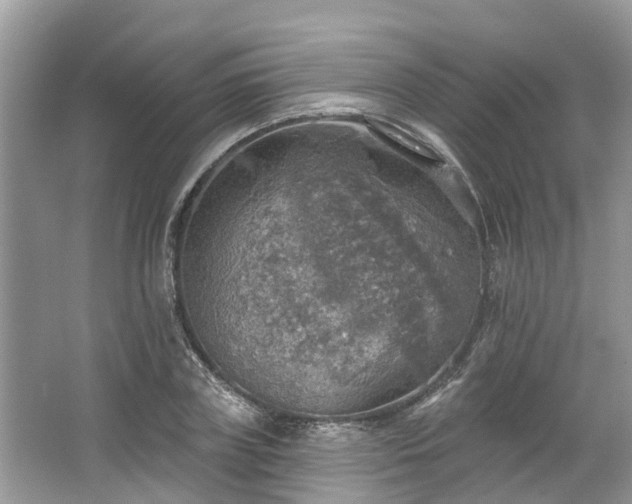 X0000067470835200604101157