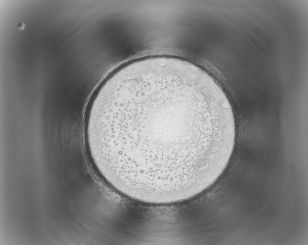 X0000067470836200604101157