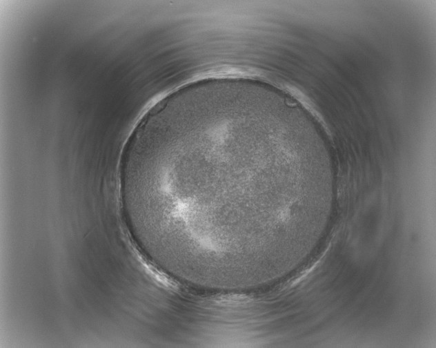 X0000067470837200604101157