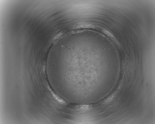 X0000067470841200604101157