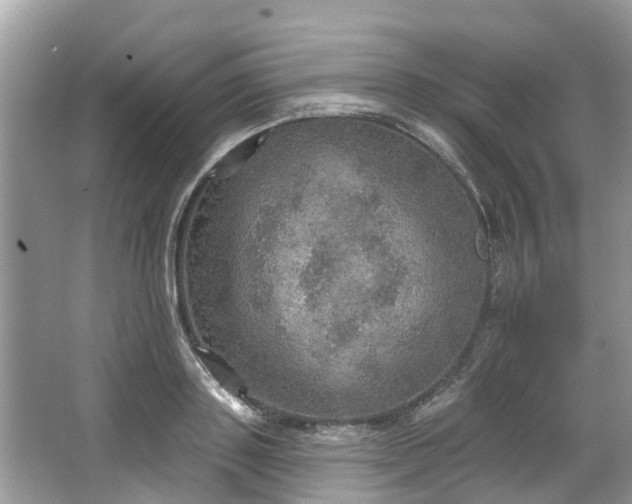 X0000067470843200604101157