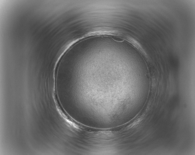 X0000067470844200604101157