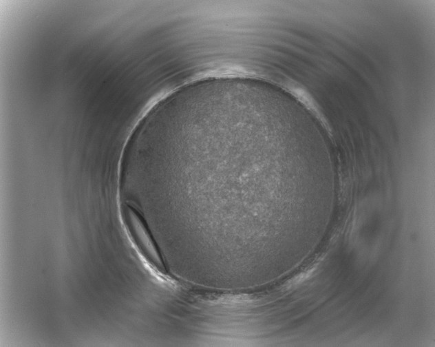 X0000067470845200604101157