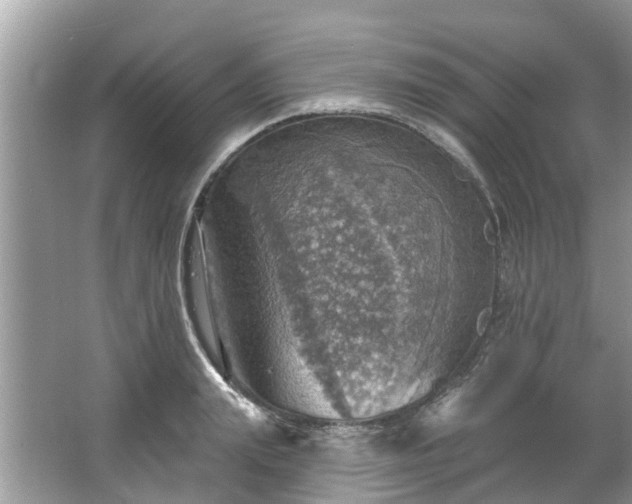 X0000067470847200604101157