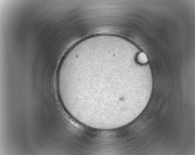 X0000067470848200604101157