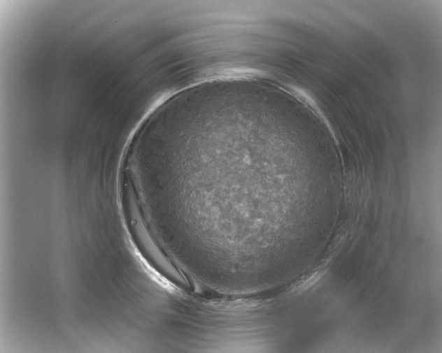 X0000067470851200604101157