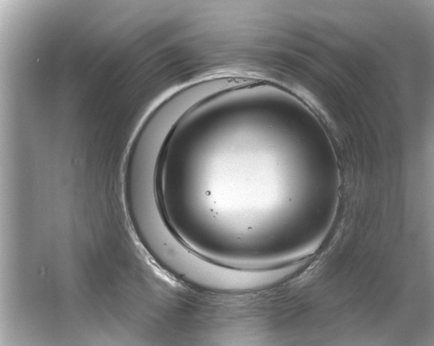 X0000067470854200604101157