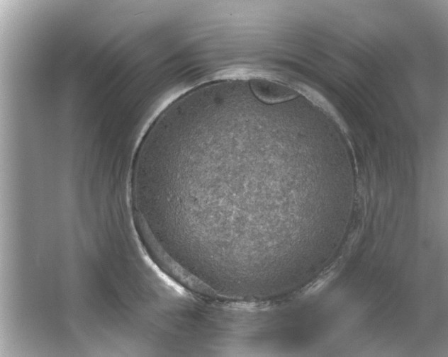 X0000067470855200604101157