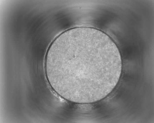 X0000067470856200604101157