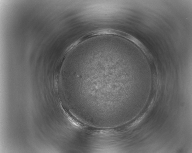 X0000067470857200604101157