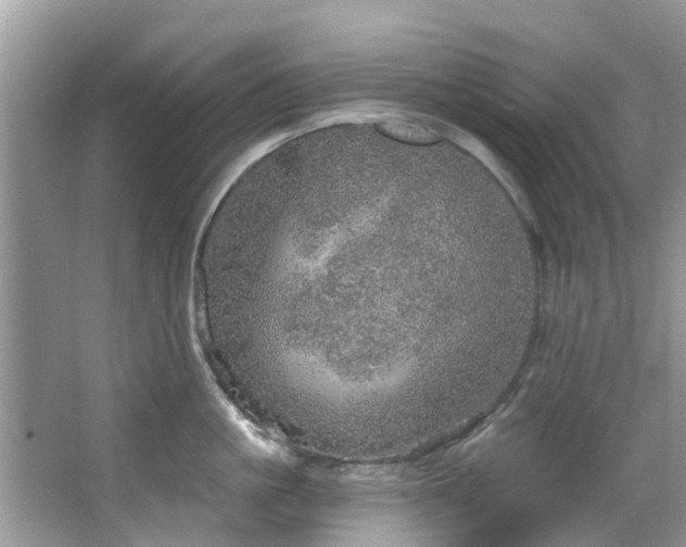 X0000067470861200604101157