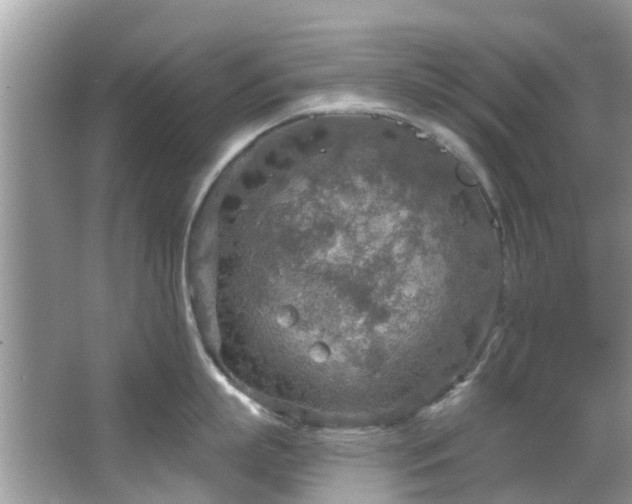 X0000067470863200604101157