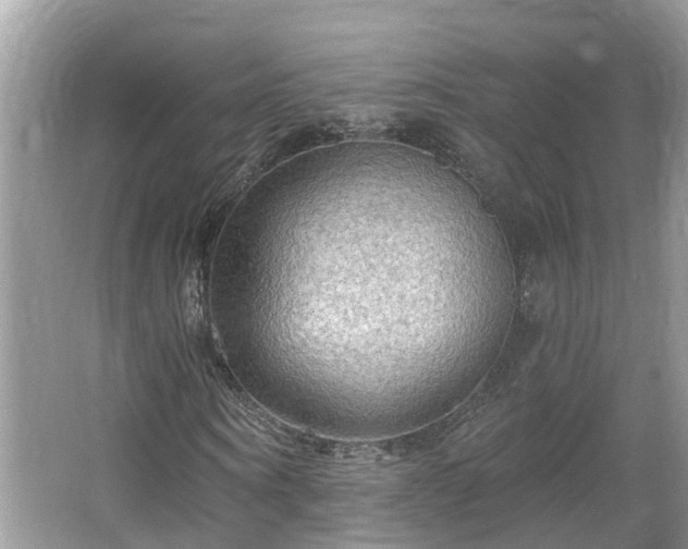 X0000067470866200604101156