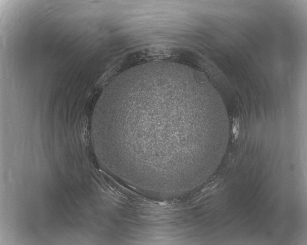 X0000067470867200604101156