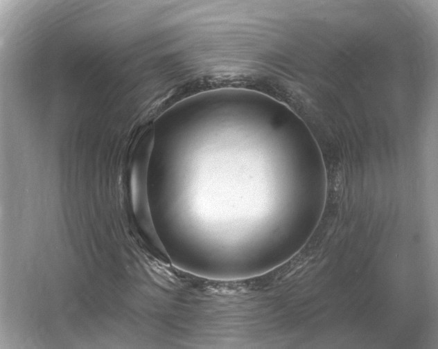 X0000067470868200604101156