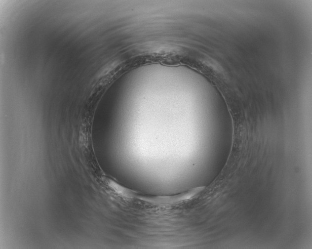 X0000067470869200604101156