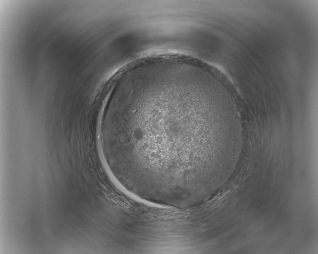 X0000067470871200604101156