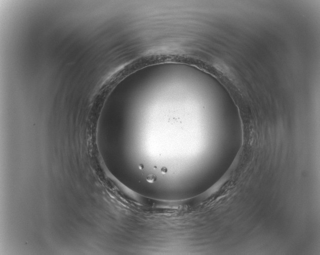 X0000067470872200604101156