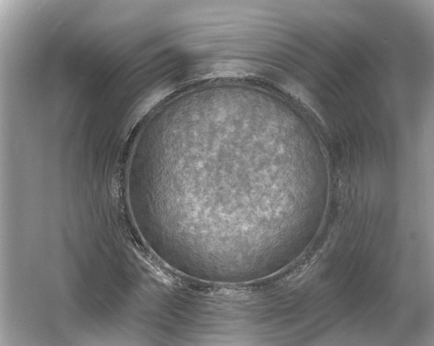 X0000067470874200604101156