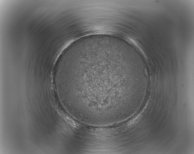 X0000067470875200604101156