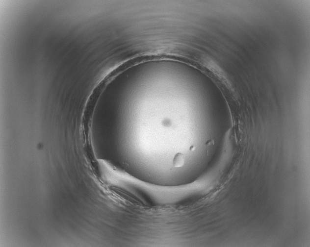 X0000067470876200604101156