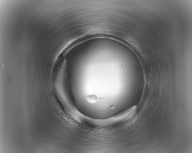 X0000067470877200604101156