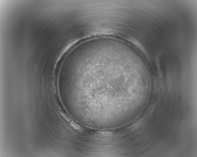 X0000067470878200604101156