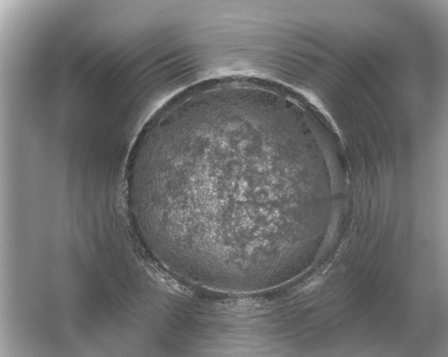 X0000067470879200604101156