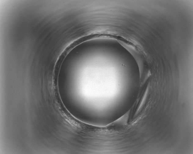 X0000067470880200604101156