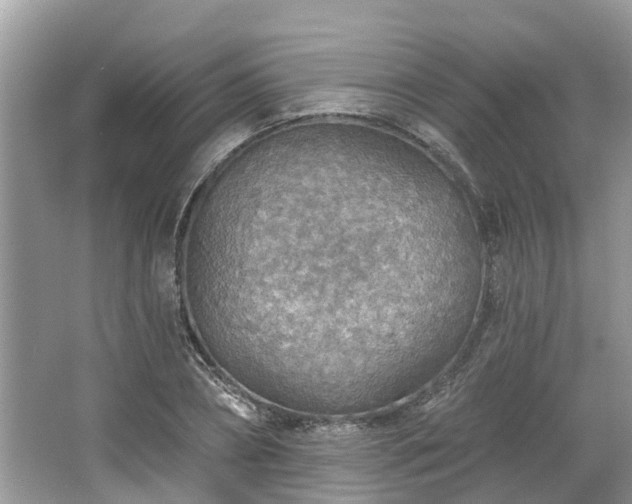 X0000067470882200604101156