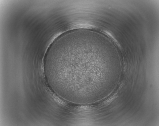 X0000067470883200604101156