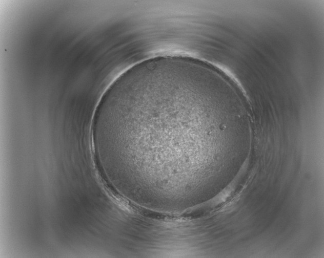 X0000067470887200604101156