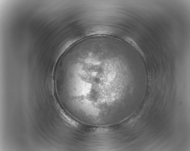 X0000067470890200604101156