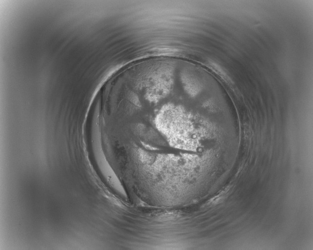 X0000067470891200604101156