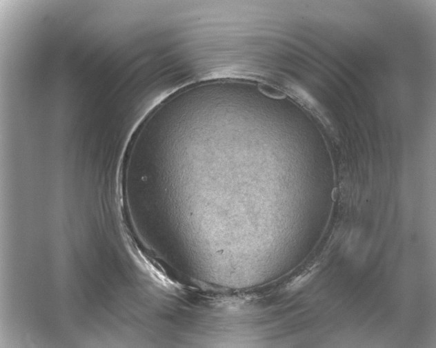 X0000067470892200604101156