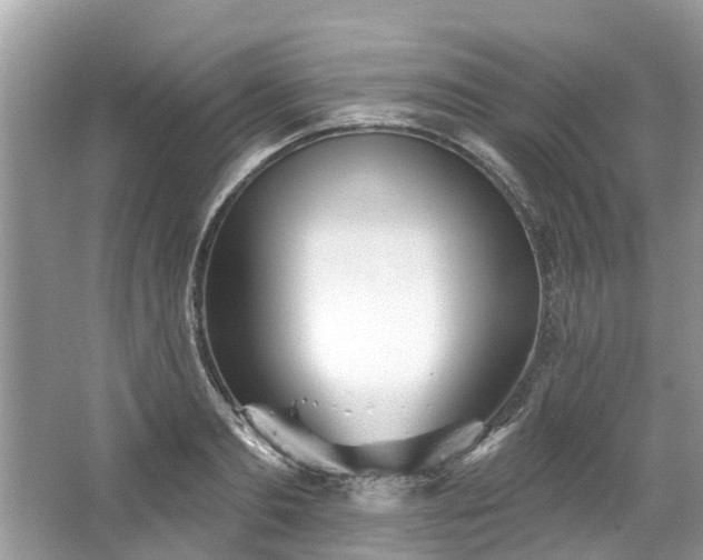 X0000067470893200604101156