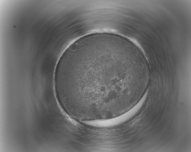 X0000067470895200604101156