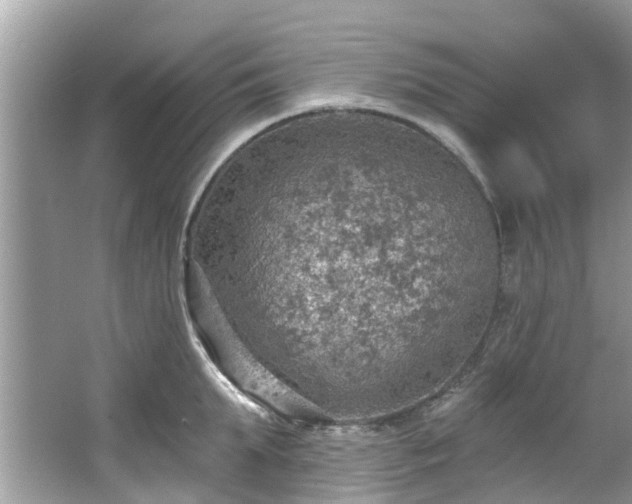 X0000067470903200604101156