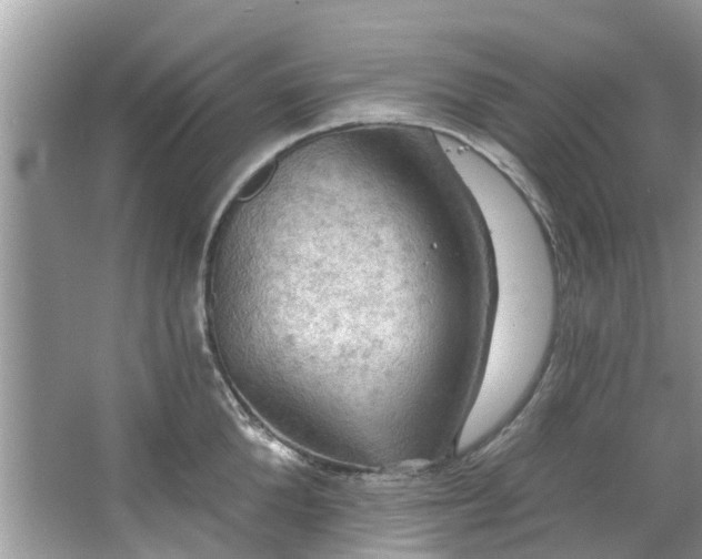 X0000067470904200604101156