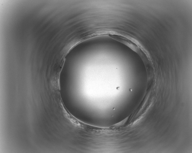 X0000067470905200604101156